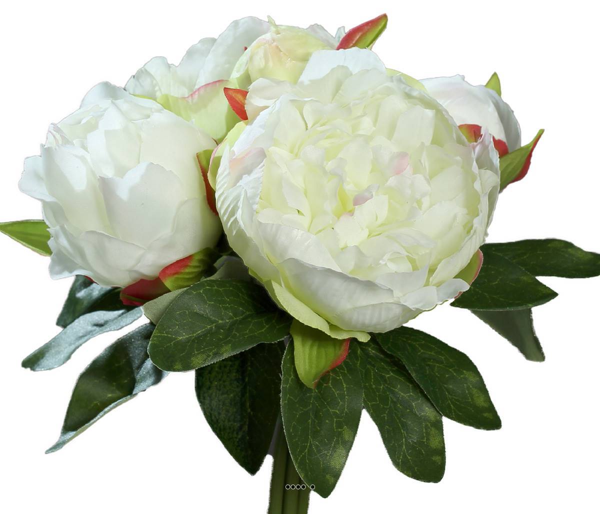 Artificielles - Bouquet de superbes Pivoines crème artificielles Hauteur 20 cm Top - couleur: Crème - Imagen 2