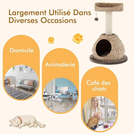 Arbre à Chat, H 70,5 CM, avec Griffoir, Niche et Pompon Suspendu - Image 3