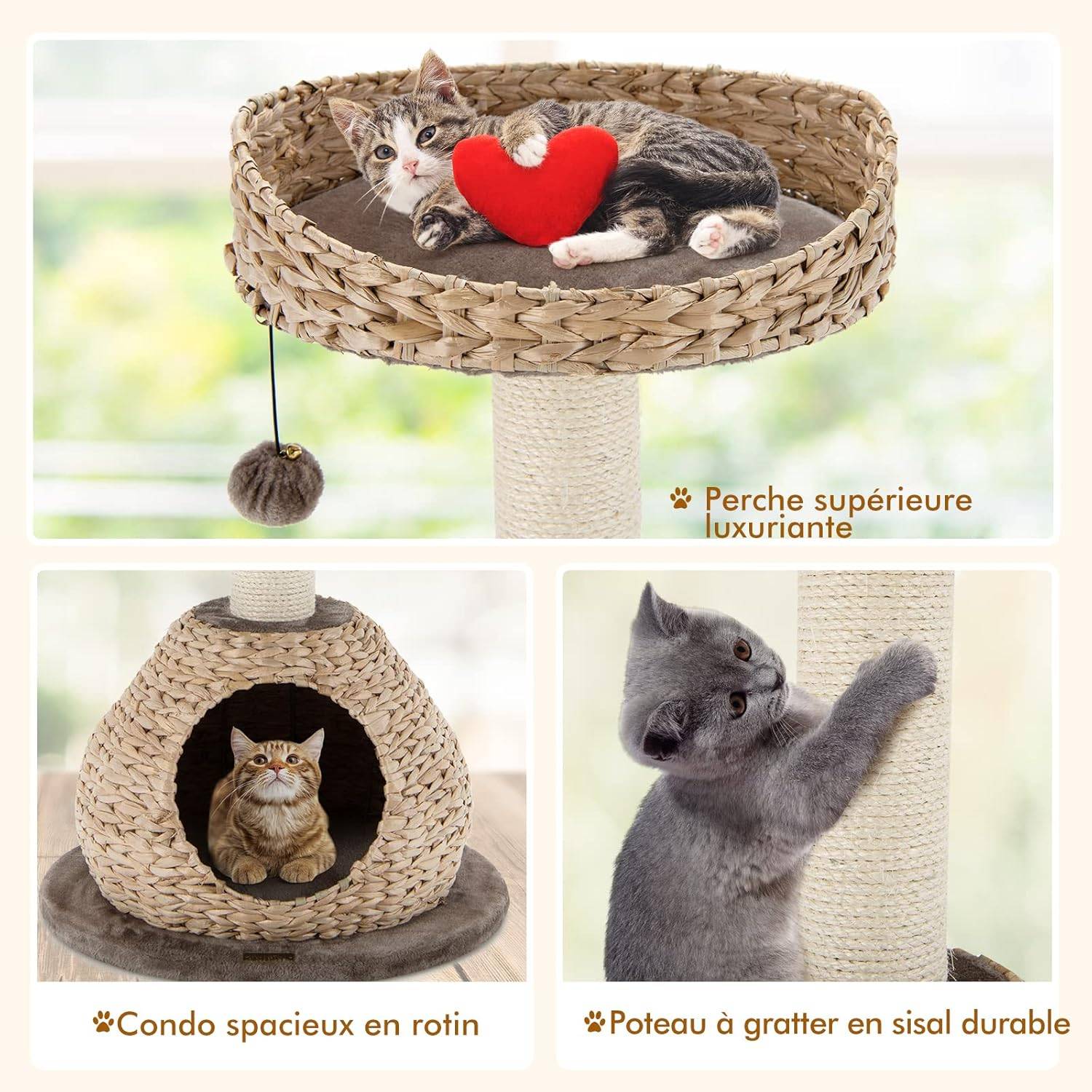 Arbre à Chat, H 70,5 CM, avec Griffoir, Niche et Pompon Suspendu - Image 2