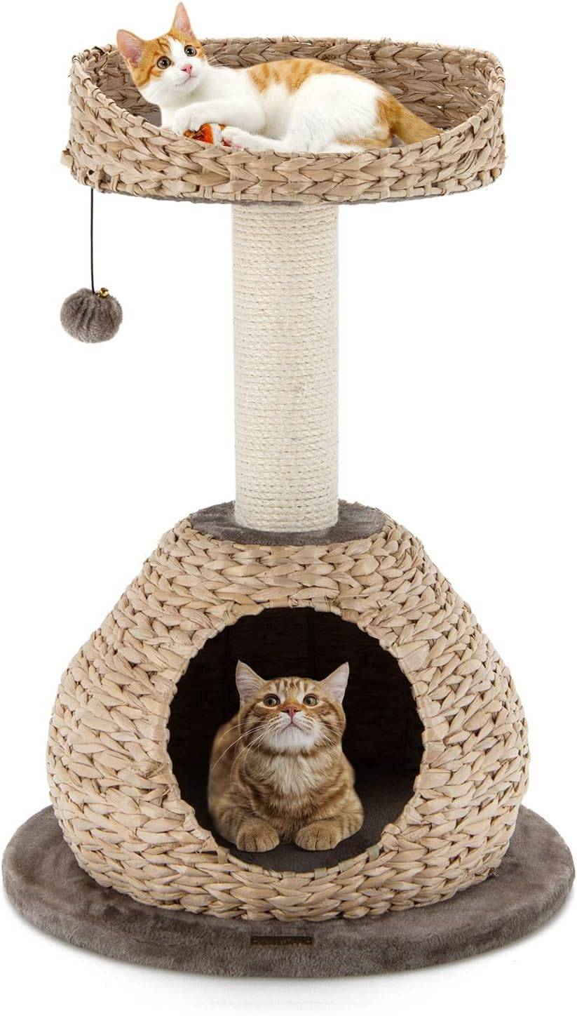 Arbre à Chat, H 70,5 CM, avec Griffoir, Niche et Pompon Suspendu - Image 1