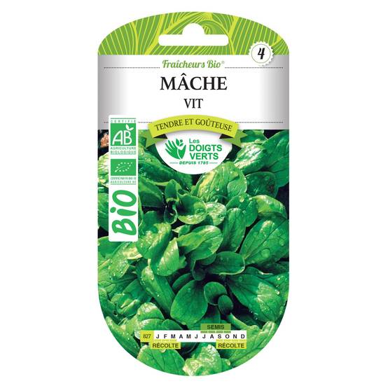 Graines de mâche vit BIO Les Doigts Verts - Image 1
