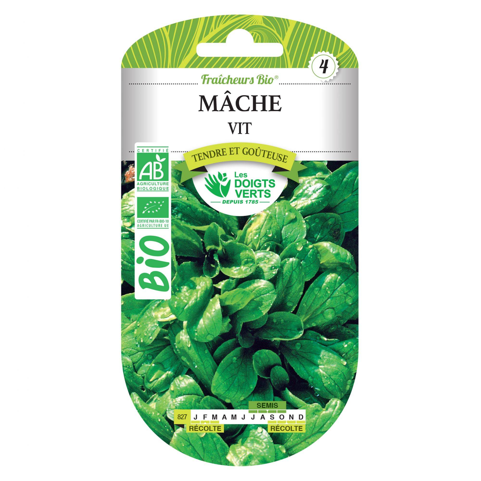 Graines de mâche vit BIO Les Doigts Verts - Image 1