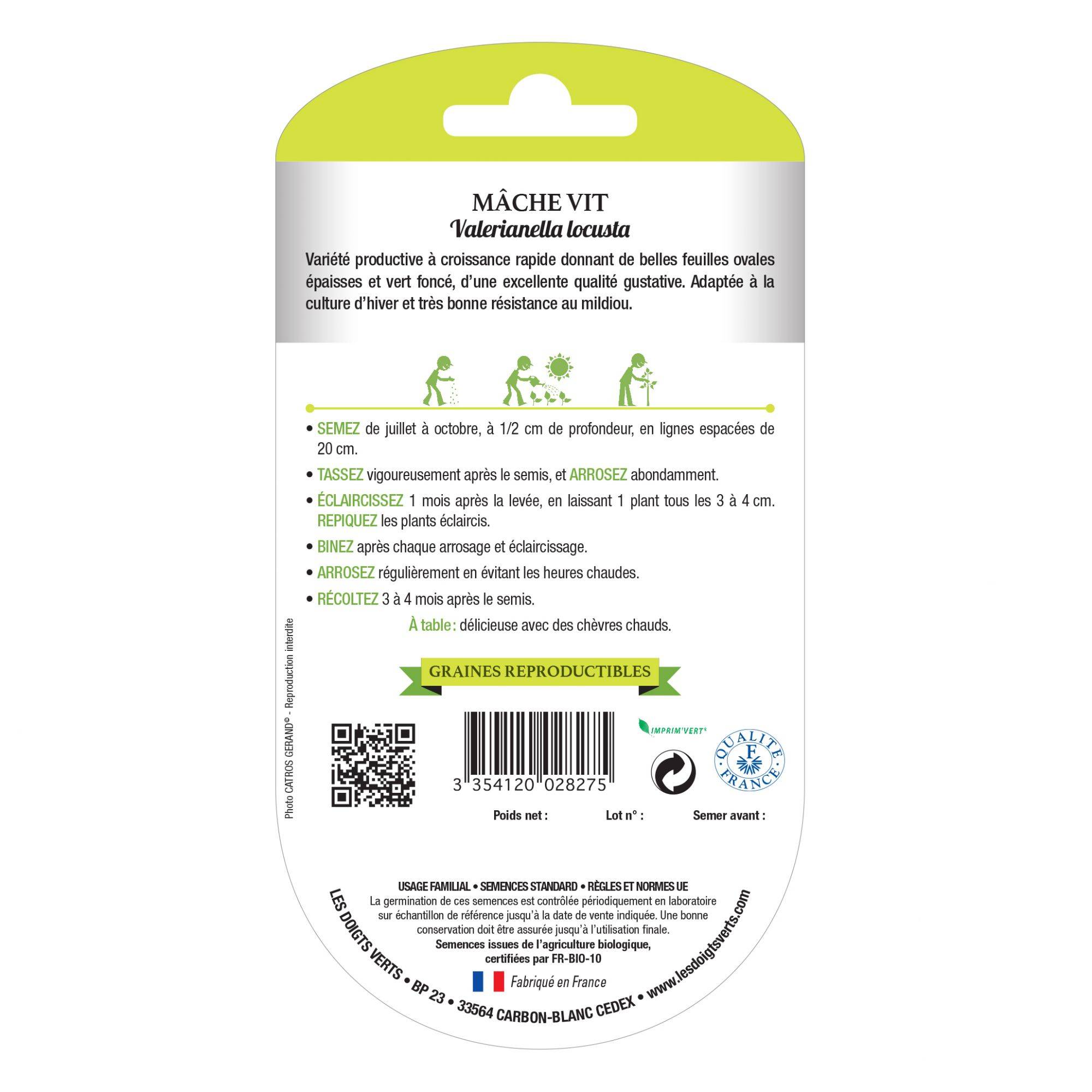 Graines de mâche vit BIO Les Doigts Verts - Image 2