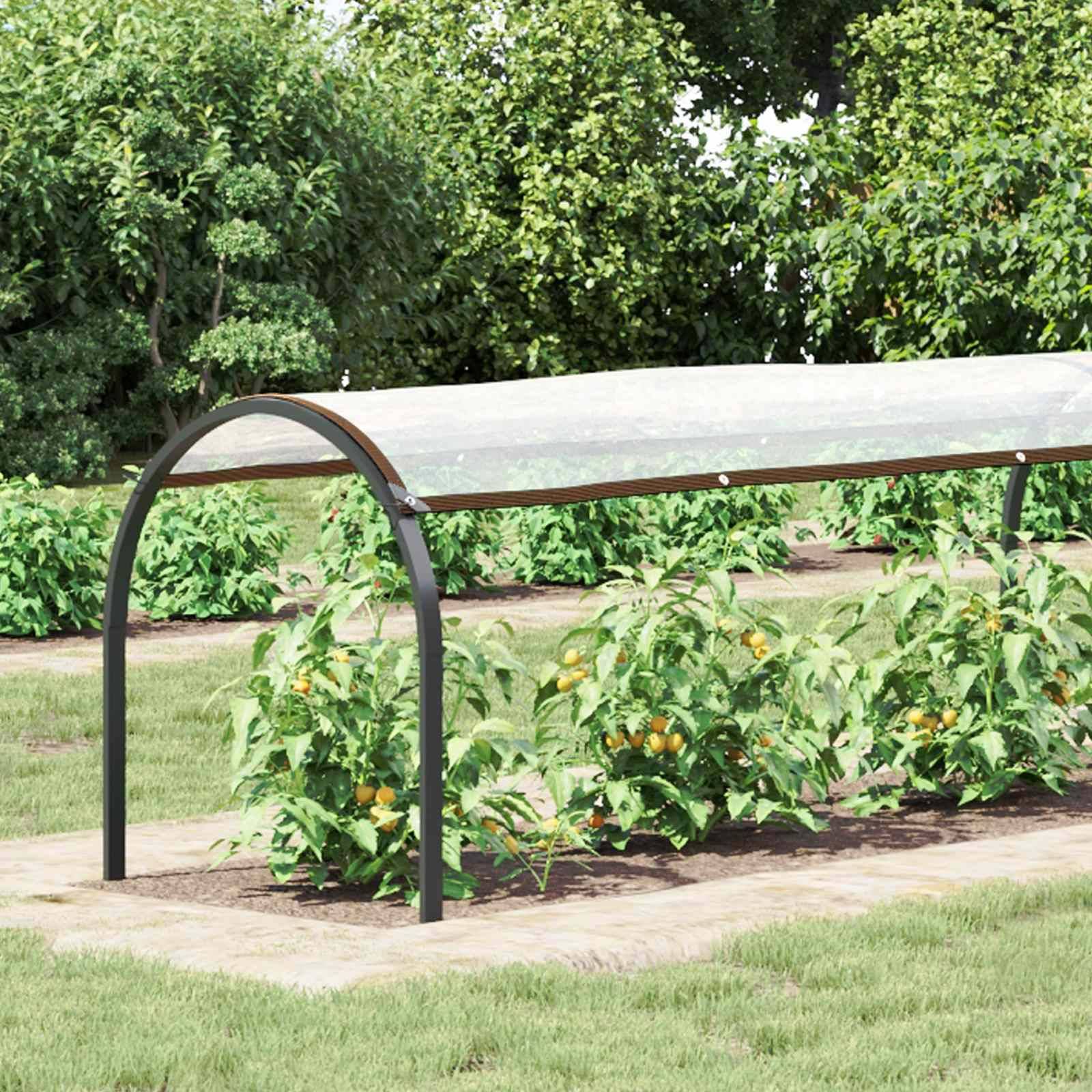 PANGIVO - Couverture pour plantes polyéthylène transparent 2000 x 150 cm, poids:5.35kg - PANGIVO - Image 1