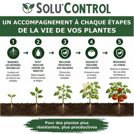 Tout pour les nuisibles - Biostimulant Concentré à l'Extrait d'Ail, d'Ortie et de Plantes Solu'Control Vége'Défense – 250 ml – Renforce les Défenses Naturelles des Plantes - Image 4