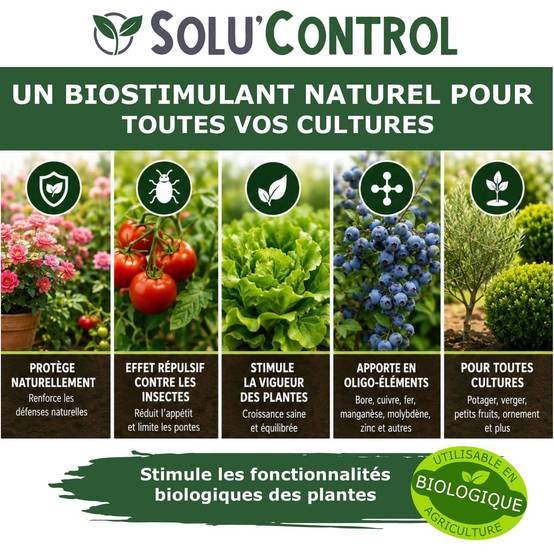 Tout pour les nuisibles - Biostimulant Concentré à l'Extrait d'Ail, d'Ortie et de Plantes Solu'Control Vége'Défense – 250 ml – Renforce les Défenses Naturelles des Plantes - Image 6