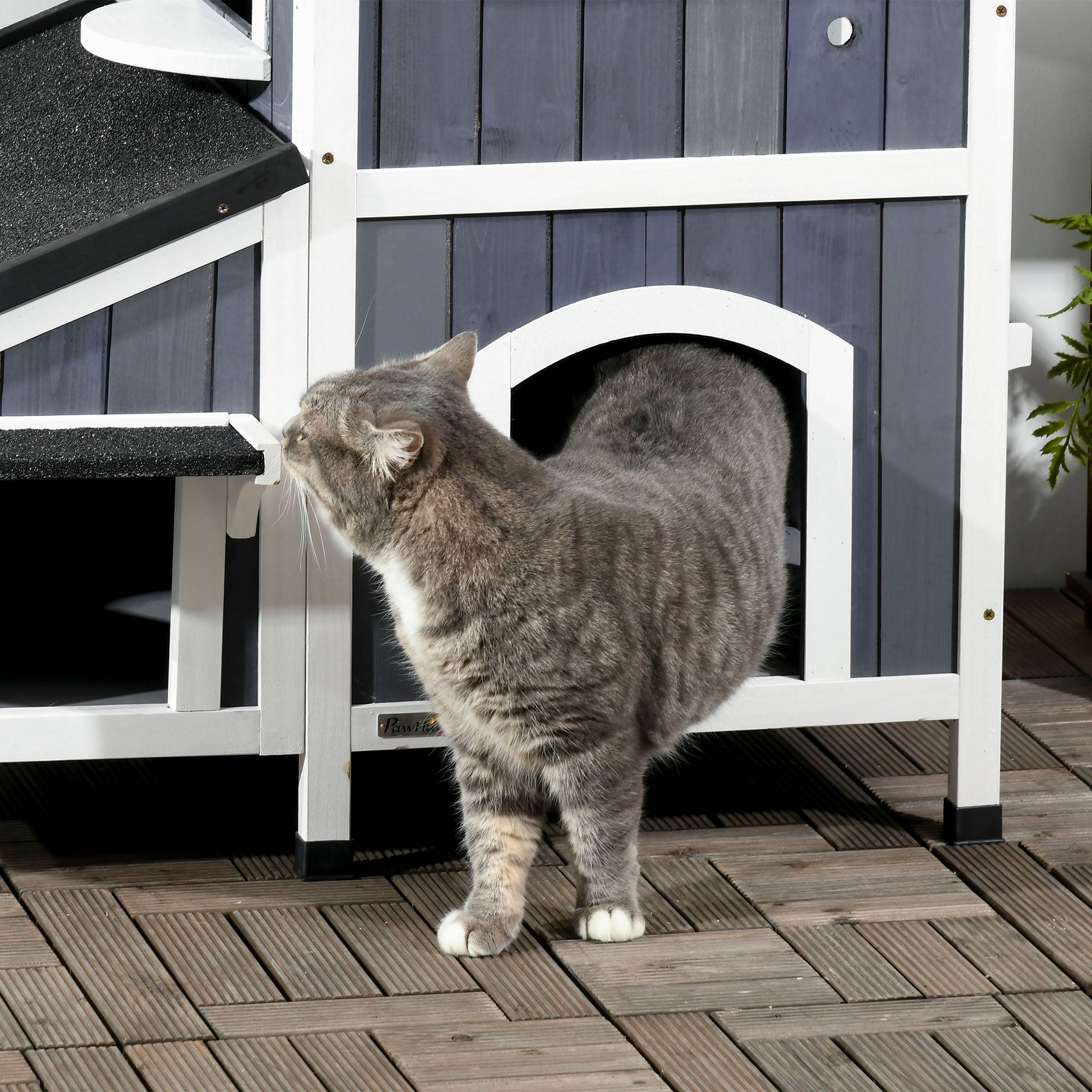 Niche extérieure en bois pour chat, abri à deux niveaux, 96 x 65 x 85,5 cm, grise - Image 10