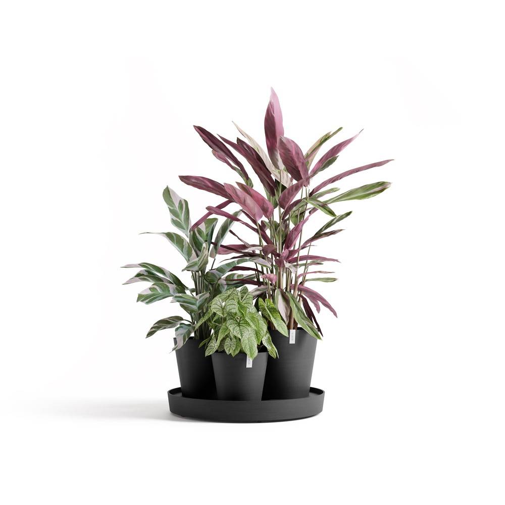 Ecopots - Ensemble de 3 pots Dubai Gris Foncé - Ø 57 x H. 30 cm - support à roulettes ECOPOTS