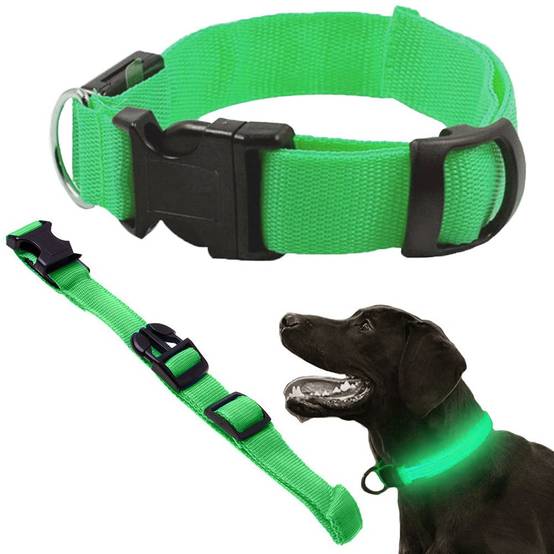 Collier d'éclairage led pour chiens et chats adjustable 59cm - Image 1