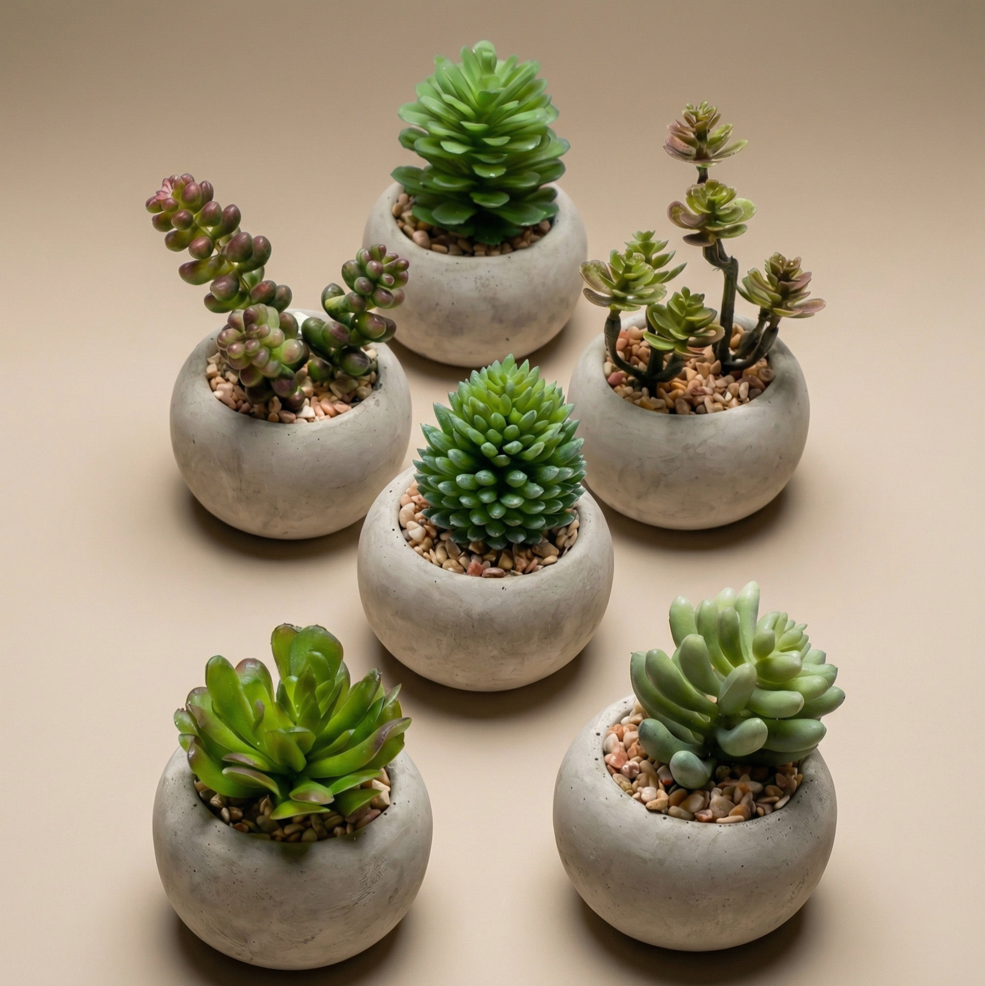 Mini Plantes Grasses In Cementen Pot - D6 - Image 3