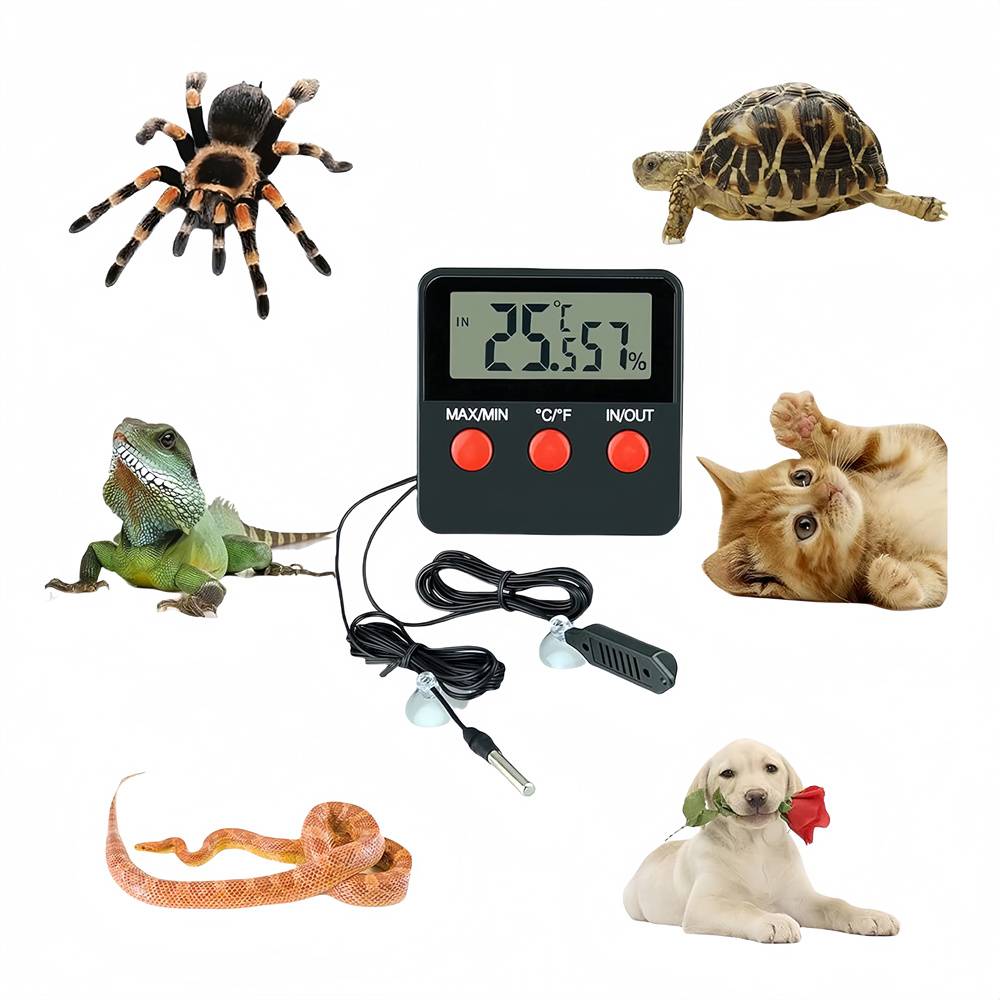 Thermomètre et hygromètre numériques pour reptiles - Image 1