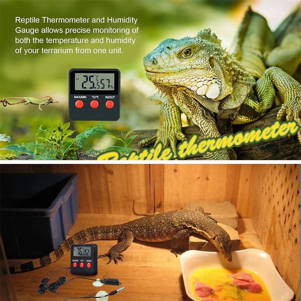 Thermomètre et hygromètre numériques pour reptiles - Image 4
