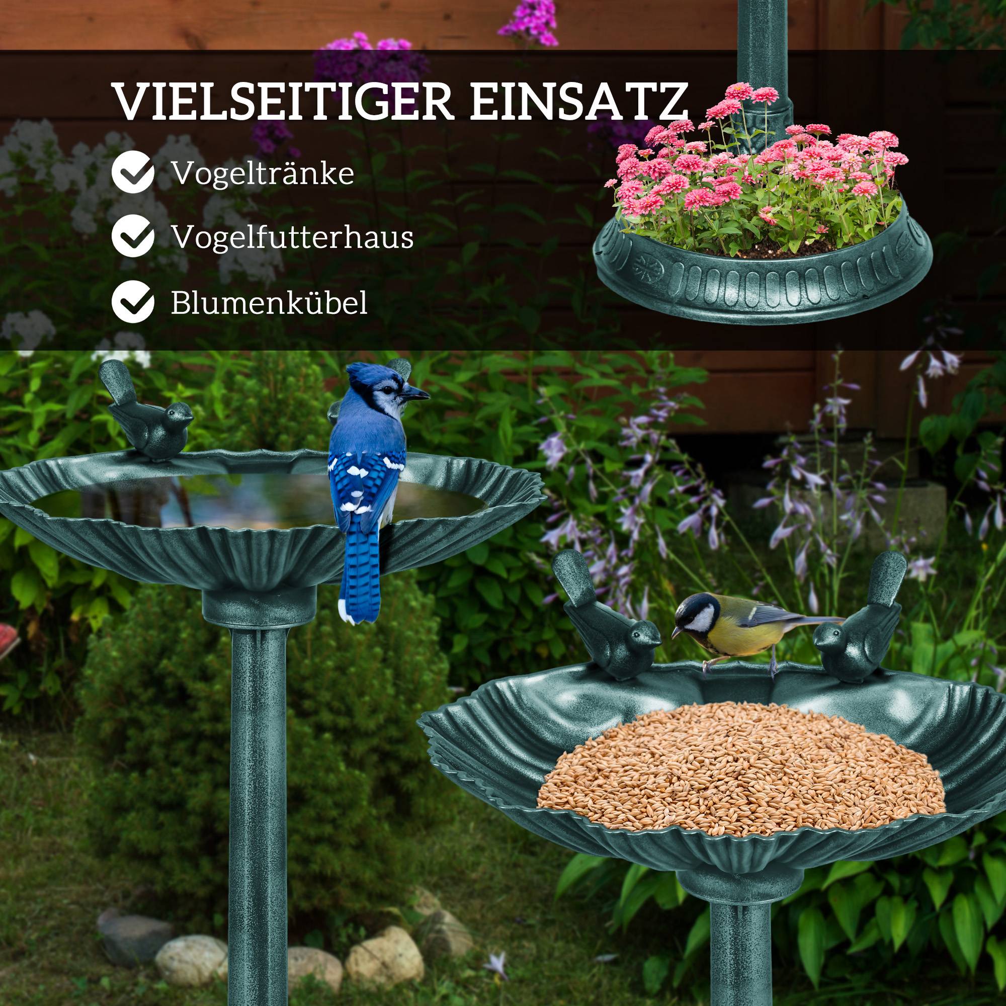 Sitemapcdatahttpsfreydreferenzcomfontaine Oiseaux Jardiland