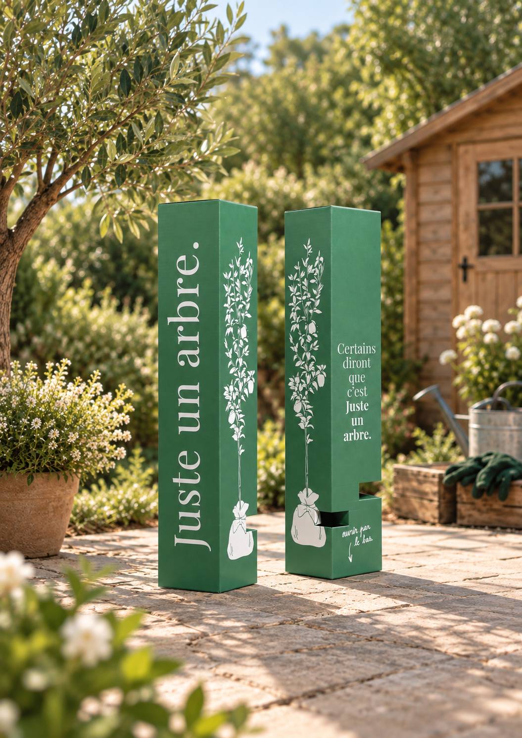 Juste Un Arbre - JUSTE UN ARBRE. – Magnolia étoilé | Cadeau raffiné pour naissance, mariage, anniversaire – Arbuste compact, parfait pour petits jardins ou grands… - Imagen 5