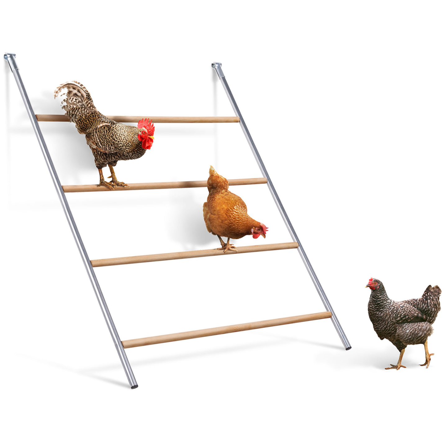 Grand perchoir pour poules 4 niveaux en bois compatible enclos - Image 2