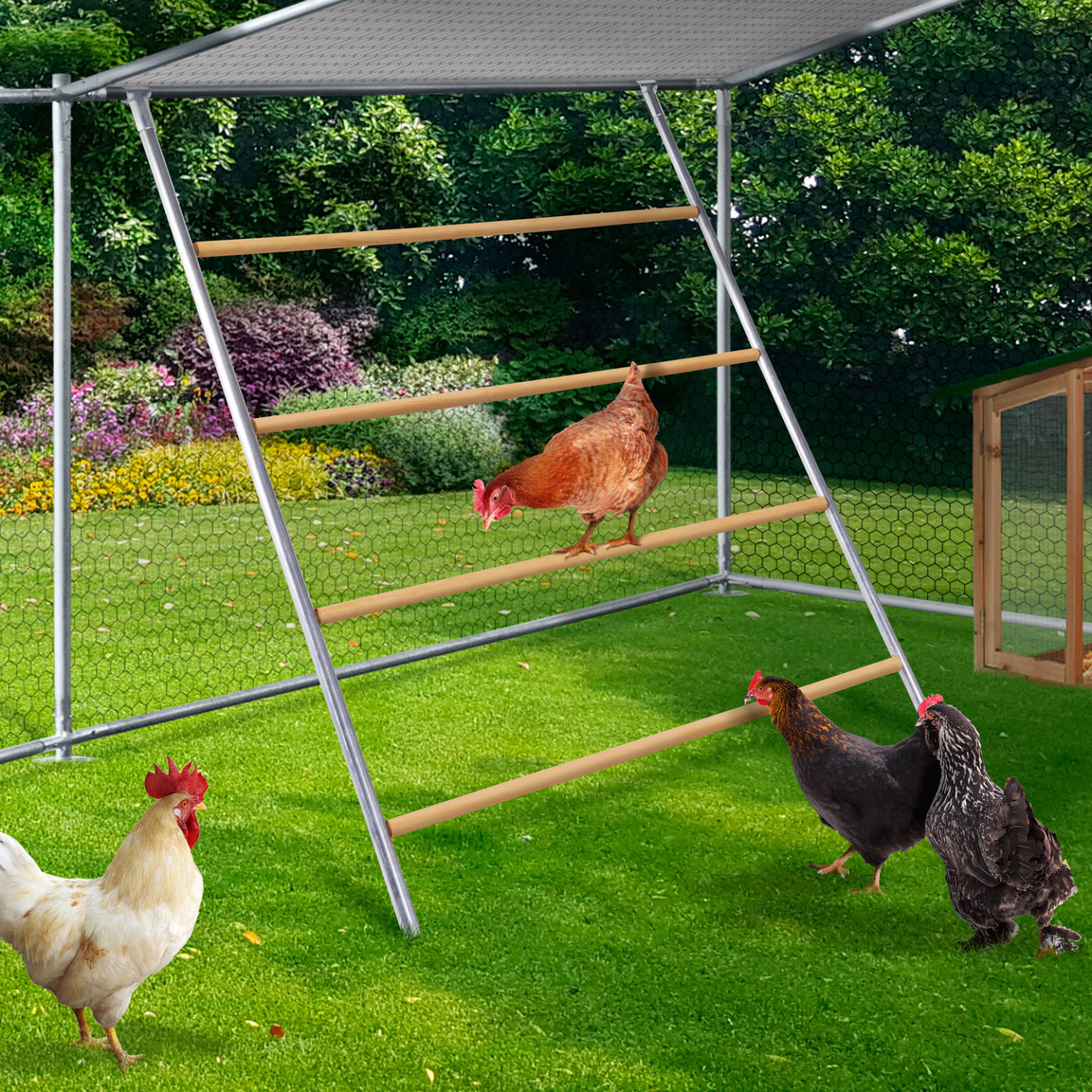 Grand perchoir pour poules 4 niveaux en bois compatible enclos - Image 1