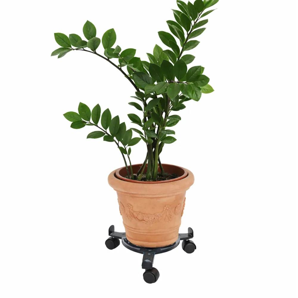 Autre - Support de plantes à 3 roulettes 22,5 à 30 cm - Image 2