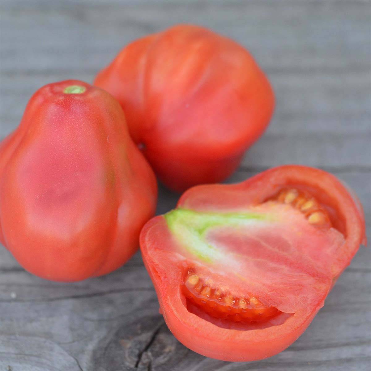 Tomate Tlacolula Pink Bio - Ferme de Sainte Marthe le sachet de 50 graines environ