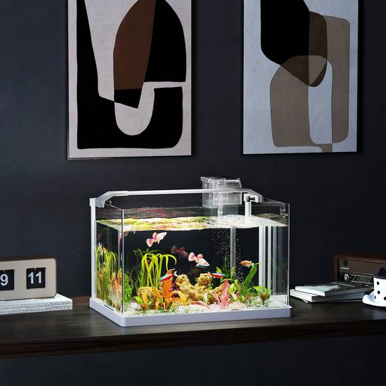 Sans Marque - Aquarium 43L en Verre Trempé avec Tapis de Protection Pour Poissons, Crevettes, Tortues, 50 x 30 x 30 cm, Transparent - Image 4