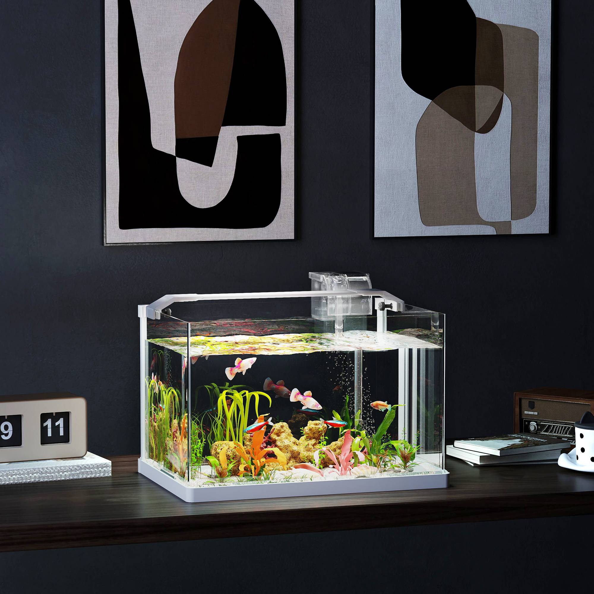Sans Marque - Aquarium 43L en Verre Trempé avec Tapis de Protection Pour Poissons, Crevettes, Tortues, 50 x 30 x 30 cm, Transparent - Image 4