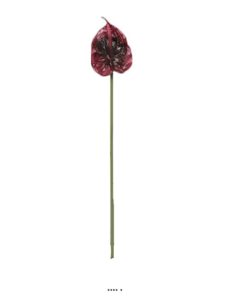 Artificielles - Tige Anthurium artificiel L 66 cm Aubergine - couleur: Aubergine - Imagen 1