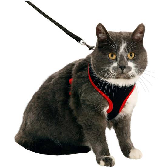 Harnais pour grand chat, couleur noir et rouge, taille L, réglable - Image 1