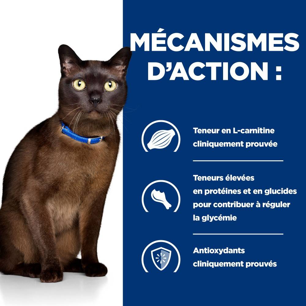 CROQUETTES CHAT ADULT PRESCRIPTION DIETS M/D DIABETES / WEIGHT MANAGEMENT - HILL'S 1,5 kg - Image 4