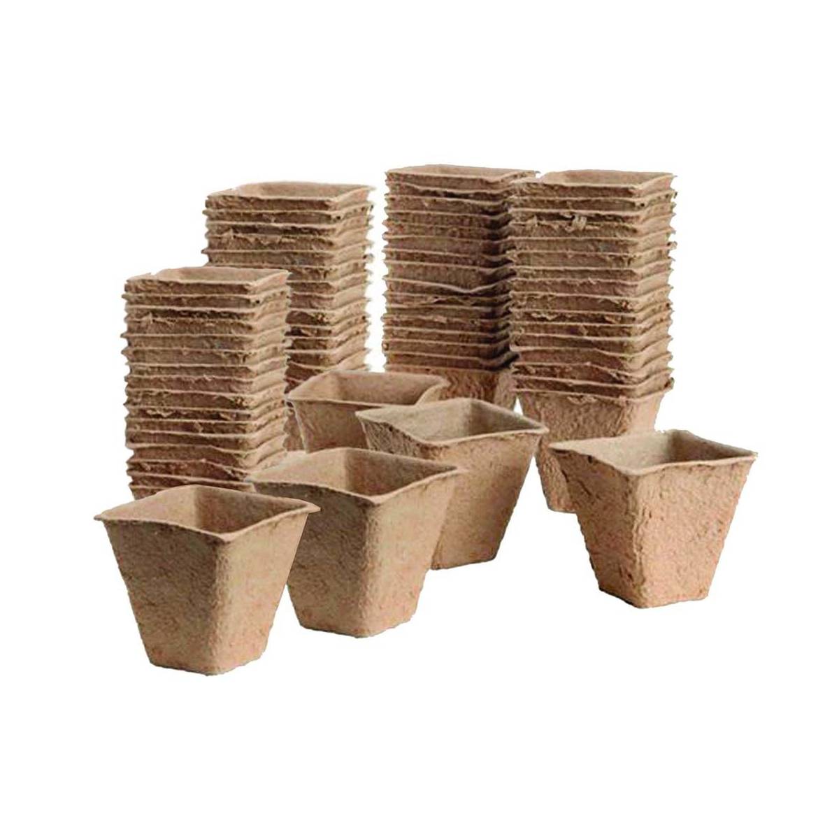 Westland - Pots de plantation bio sans tourbe 80 pots - 6 cm - carrés