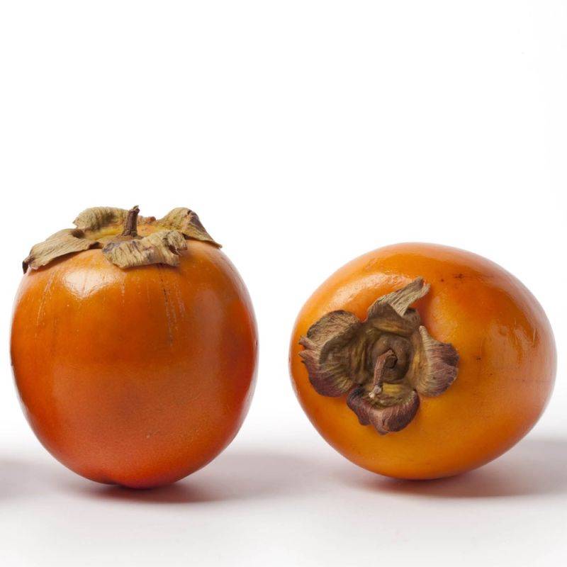 Kaki 'Muscat' (Diospyros kaki 'Muscat') - Scion de 80 à 100cm - Pépinières Naudet - Imagen 2