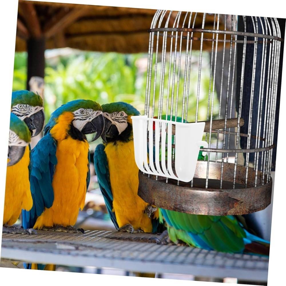 Set de 4 support alimentaire suspendus pour oiseaux - Lytech - Image 3