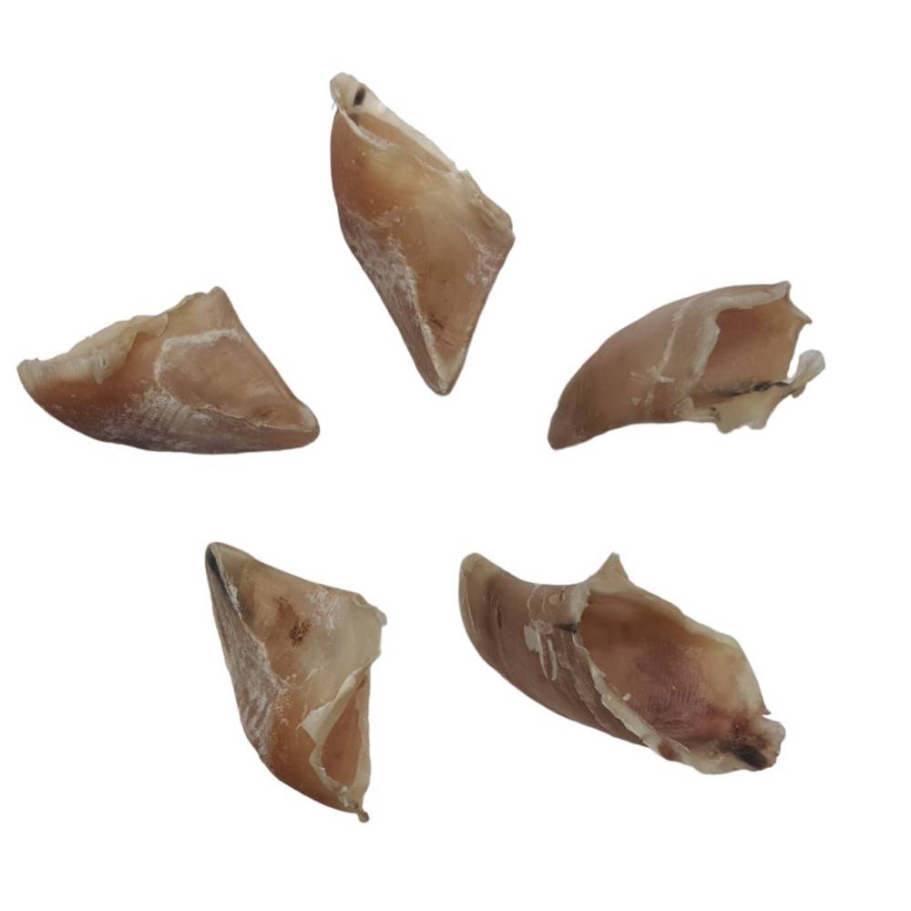 animallparadise - 5 sabots de veau petit modèle friandise a mâcher pour chien - Imagen 3