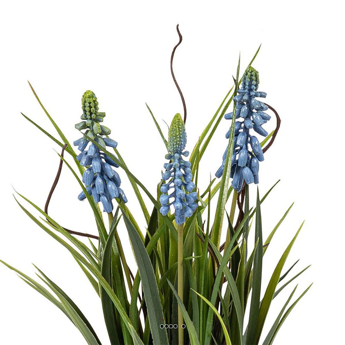 Artificielles - Muscaris artificiels 3 têtes sur boule de mousse H 25 cm Bleu royal - couleur: Bleu royal 250 - Imagen 3