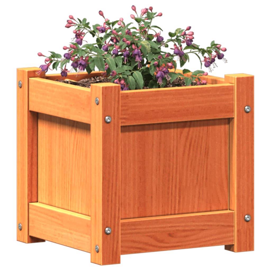 Jardinière bois de pin massif cire marron 31 x 31 x 31 cm - PANGIVO - Image 4