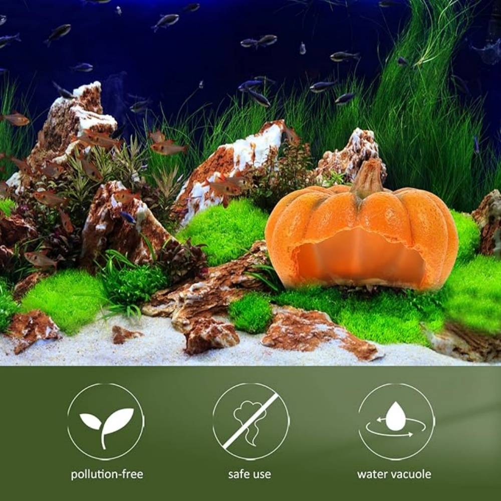 DtopbuyAge - Décor Citrouille Aquarium Cachette Reptile - Image 3