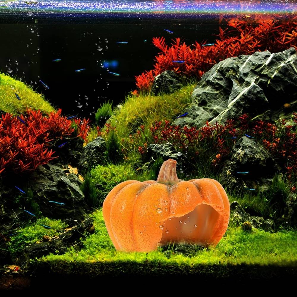 DtopbuyAge - Décor Citrouille Aquarium Cachette Reptile - Image 4