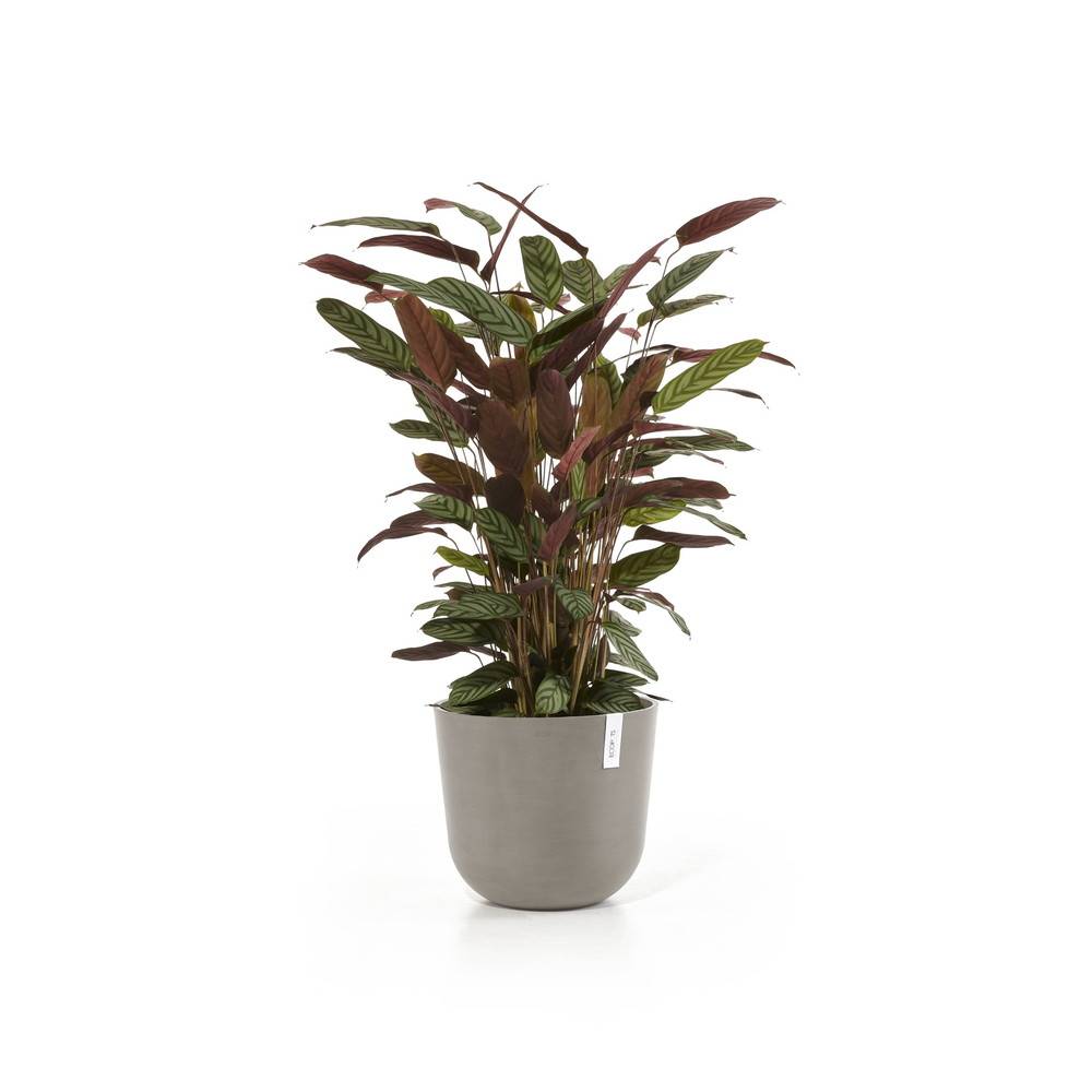 Ecopots - Pot Rond Oslo 35 Taupe + réservoir d'eau - Ø 35 x H. 30,5 cm - 21,7 L ECOPOTS