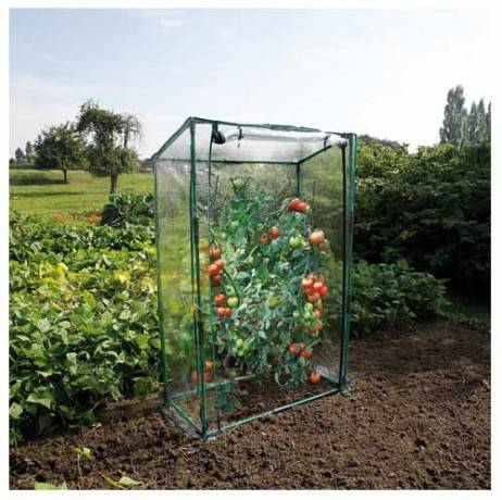 Serre à tomates amovible - Image 2