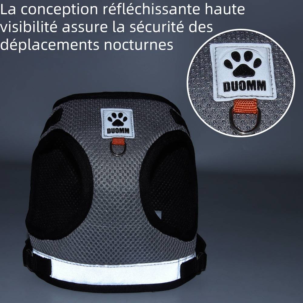 Harnais réfléchissant pour chat s - IntiMeg - Image 3