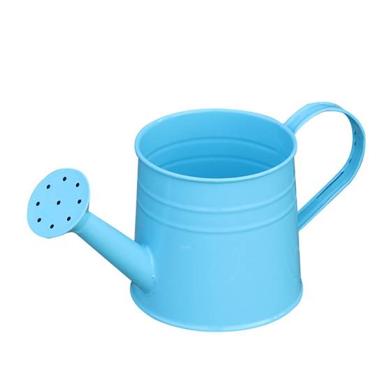 Arrosoir Bleu - IntiMeg - Image 1