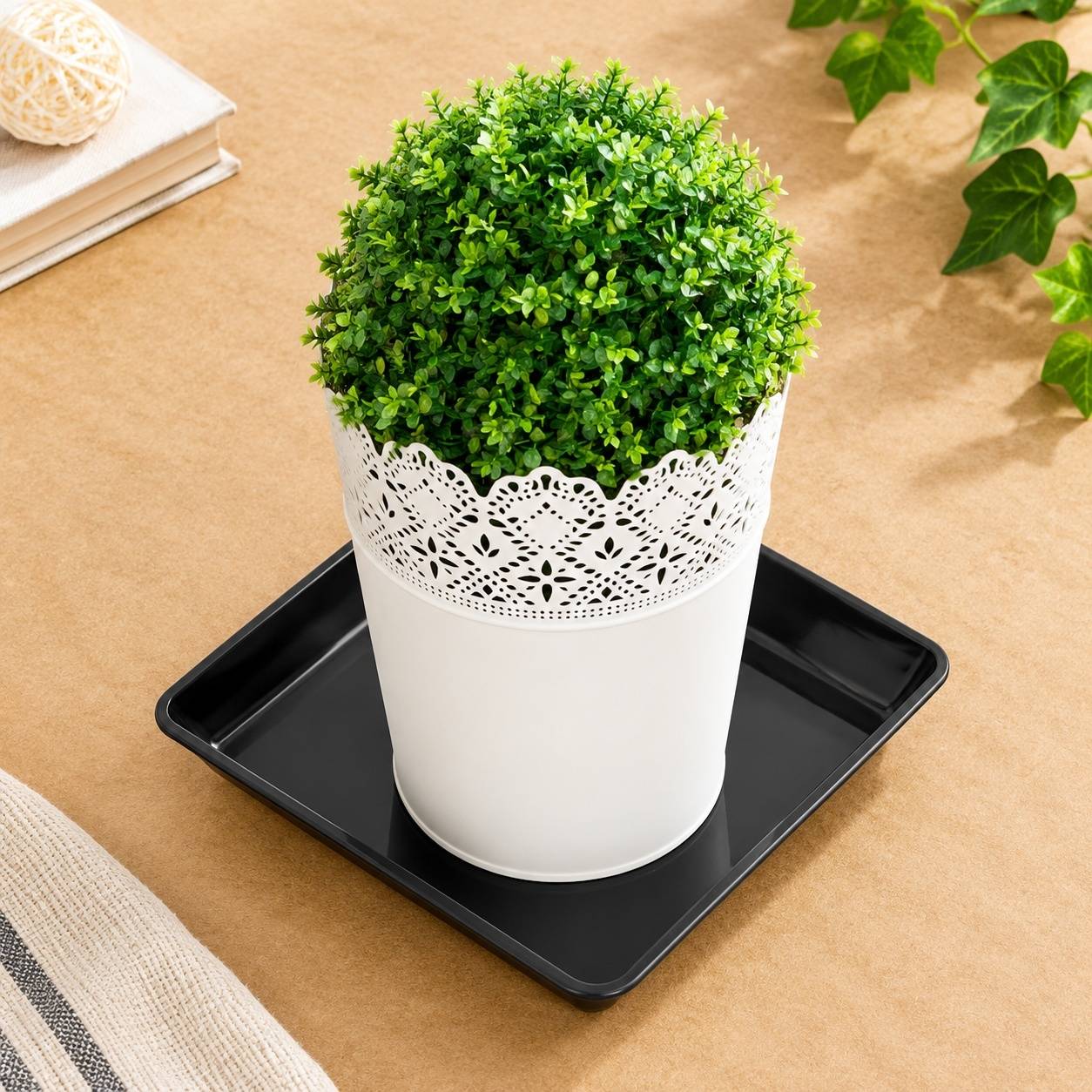 Lot de 12 Soucoupes Rectangulaires Plastique Rigide pour Plantes
(83 caractères) - Image 6