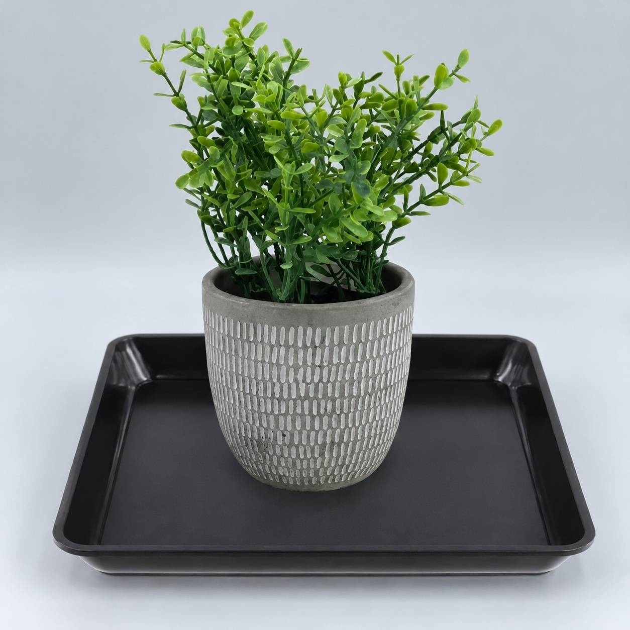 Lot de 12 Soucoupes Rectangulaires Plastique Rigide pour Plantes
(83 caractères) - Image 7