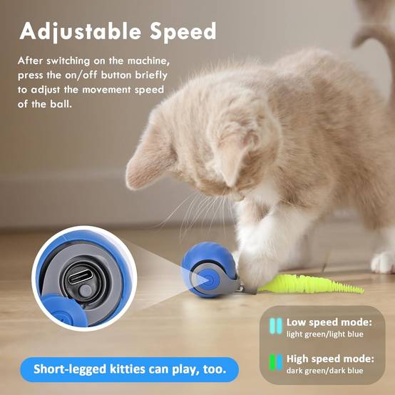 Balle Roulante Automatique - Jouet Chat/Chien DtopbuyAge - Image 2