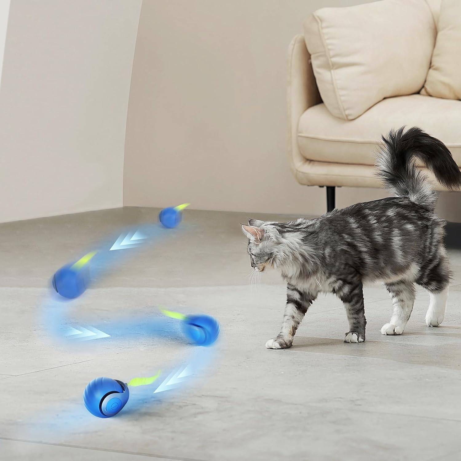 Balle Roulante Automatique - Jouet Chat/Chien DtopbuyAge - Image 4