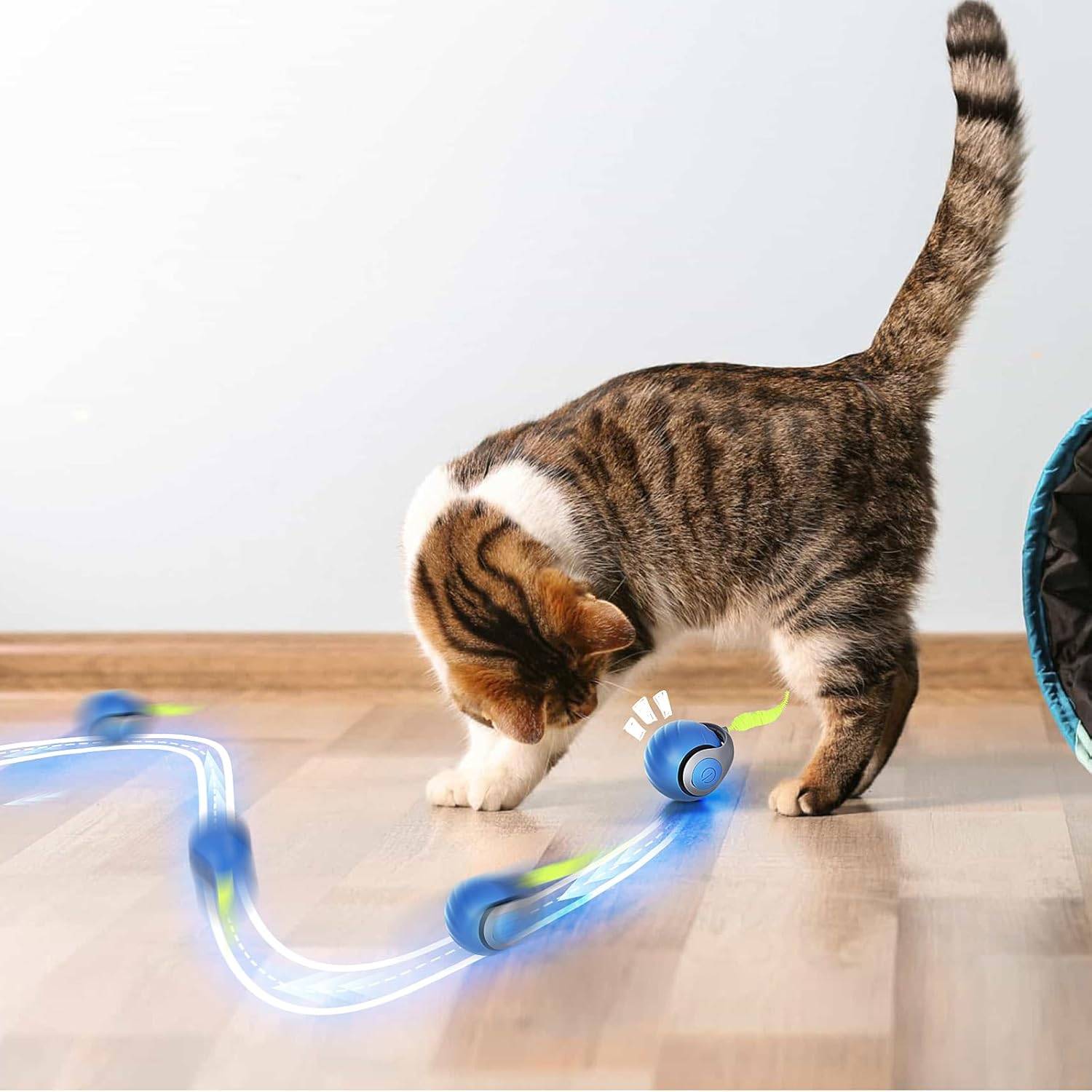 Balle Roulante Automatique - Jouet Chat/Chien DtopbuyAge - Image 3