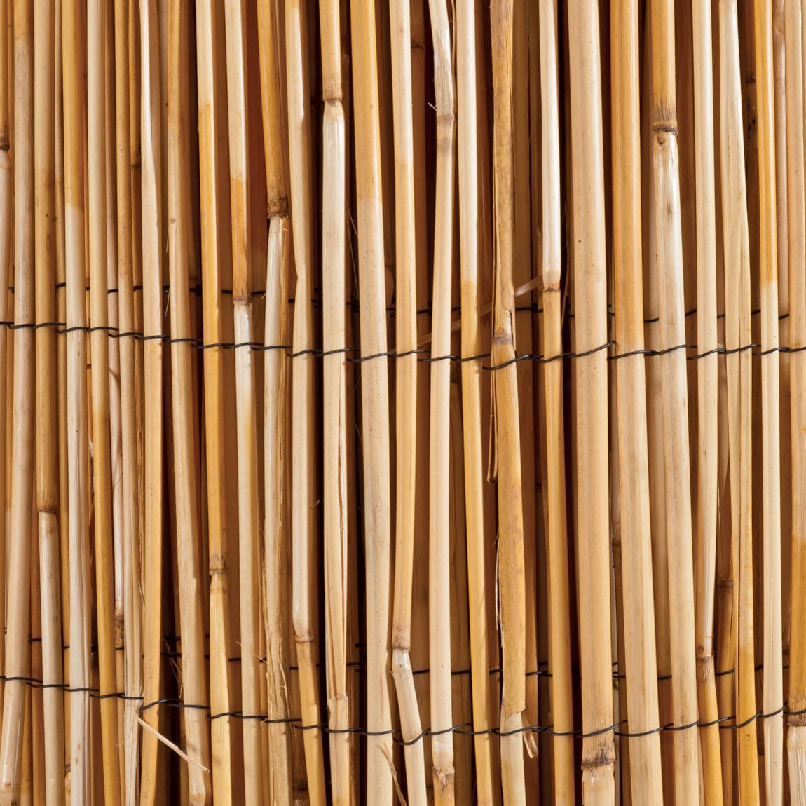 Canisse en roseau naturel WERKA PRO - 2 x 5 m - Image 3