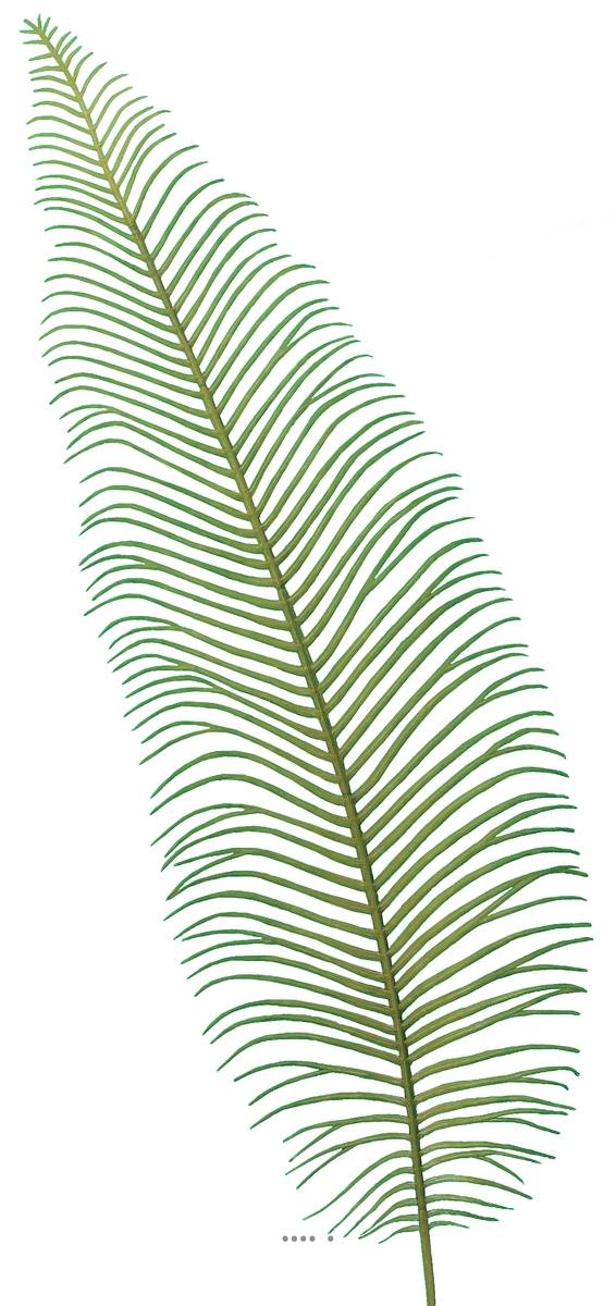 Artificielles - Feuille Fougère artificielle X6 Verte très aerienne H 60 cm