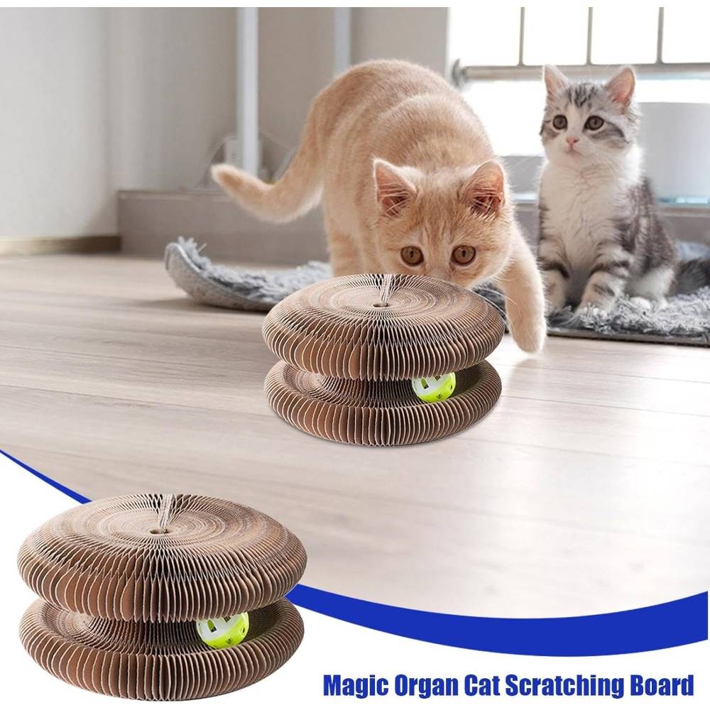 IntiMeg - Griffoir pour Chat Carton Interactif - IntiMeg - Image 3