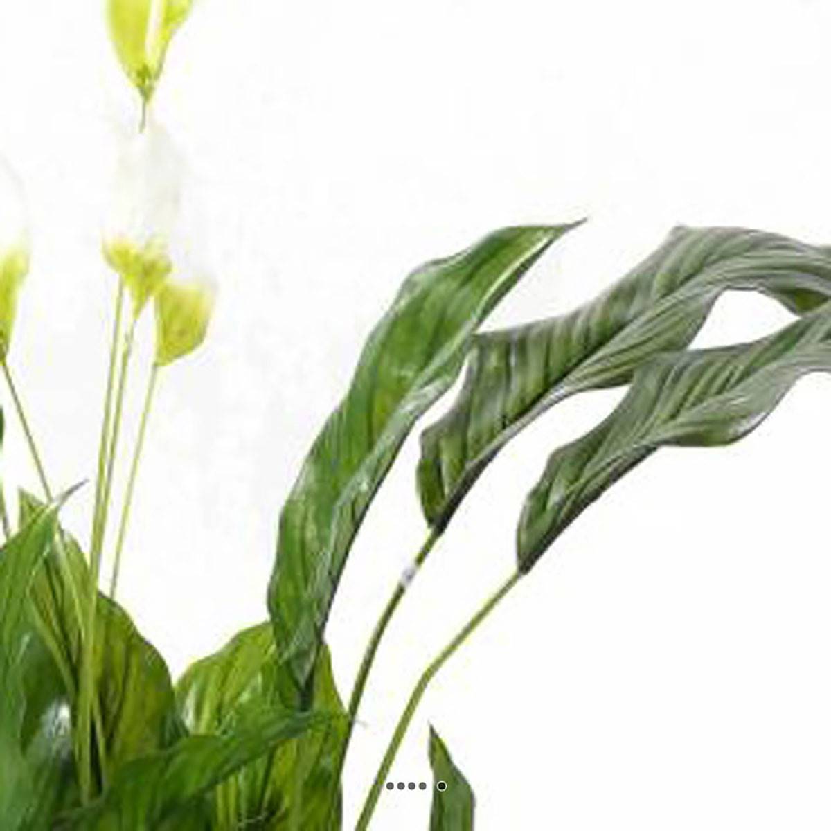 Artificielles - Spatiphyllum artificiel en pot anti-Uv extérieur H 90 cm 4 fleurs - Imagen 3