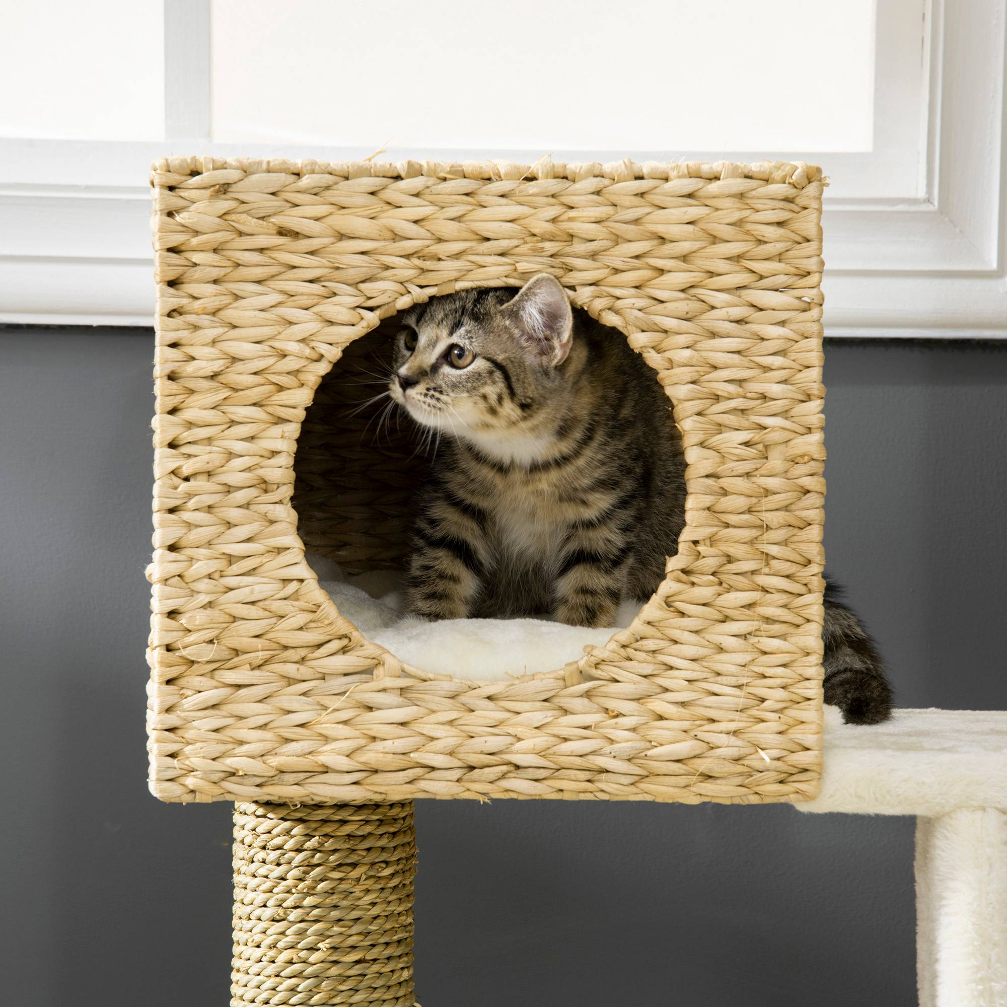 Pawhut - Arbre à chat style cosy chic griffoirs quenouille échelle niche panier 2 coussins inclus peluche courte polyester haute densité crème beige - Imagen 9