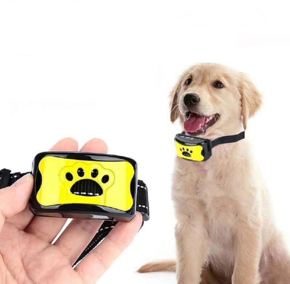 IntiMeg - Collier anti-aboiement pour chien, 7 niveaux de sensibilité, rechargeable, étanche, IntiMeg - Imagen 1